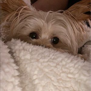 Meet your Posher, Joni